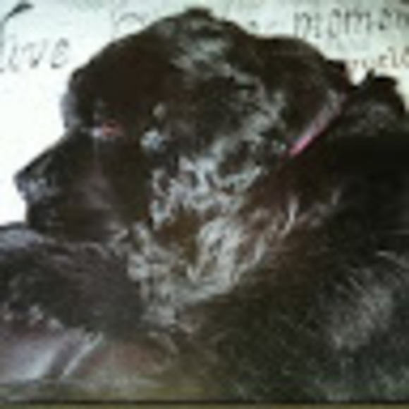 Meet your Posher, Pam - Picture 1 of 1